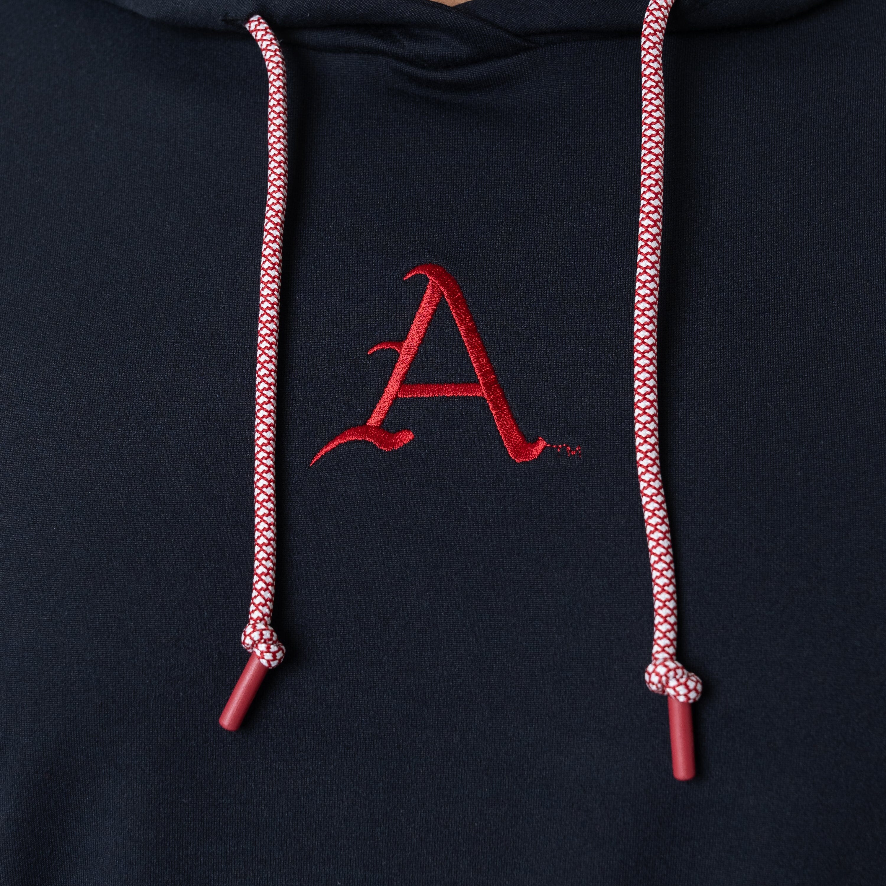 Hesi Collegiate Hoodie - Arkansas | Solid - Black - Arkansas - 3 - Image 4